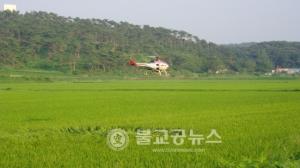 천안흥타령살 재배단지 무인헬기 공동방제