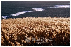 인천AG, 갯벌이 신비로운 인천 사진전