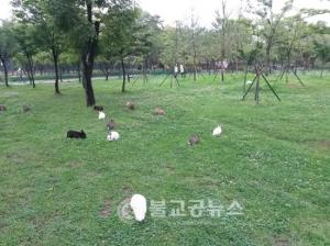 월미공원에서 달나라 토끼와 놀자
