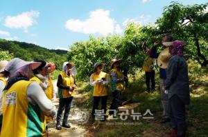 대전 신천지자원봉사단, 농민과 함께 나누는 기쁨