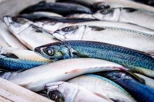 뉴질랜드 가족, SNS로 불법 물고기 판매 유죄판결