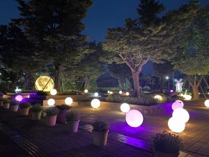 경주 동궁원, 화려한 조명 야외광장 야간 무료 개방