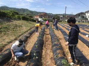 청주 비상초, 교육농장(텃밭) 생태교육 실시