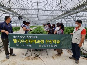 담양군, 지역농업 특화품목 딸기 수경재배 과정 교육 진행