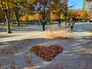 서울시, 공원 낙엽 청소 장비 환경친화적 충전식으로 교체