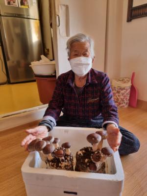 괴산군 노인맞춤돌봄센터, 표고버섯키우기를 통한 우울증 예방