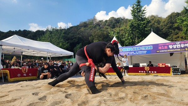 횡성군, 지역 활력 더하는 '청년·복지·보건 4色 군정' - 뉴스 썸네일 이미지