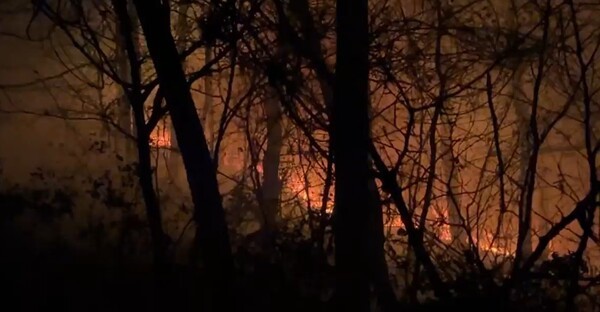 20일 발생한 충남 태안 소원면 일원 산불이 확산하고 있다. /산림청