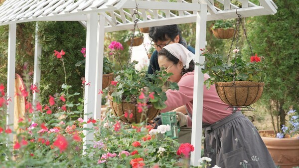 제라늄./국립세종수목원