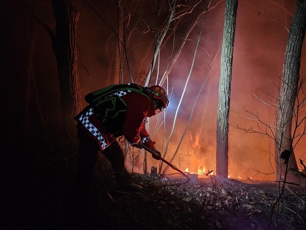 산림청 소속 산불 공중진화대원이 강원 양양군 서면에서 발생한 산불과 사투를 벌이고 있다. /산림청
