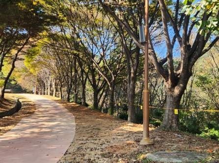 문의문화유산단지 보행로 보수 후 사진. / 청주시