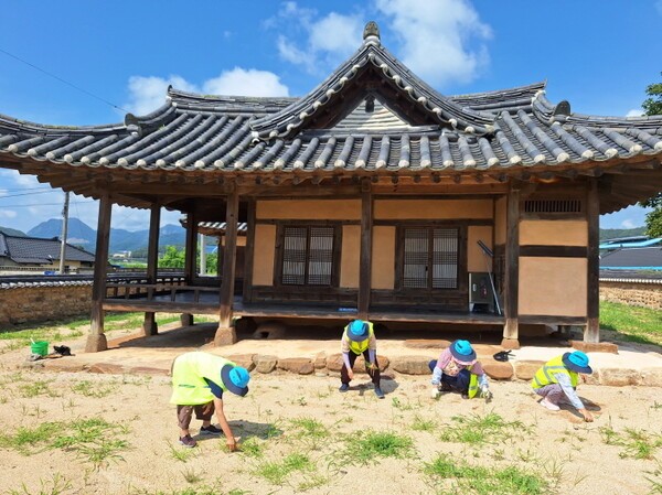 노인 공익활동사업 참여 모습. /영동군