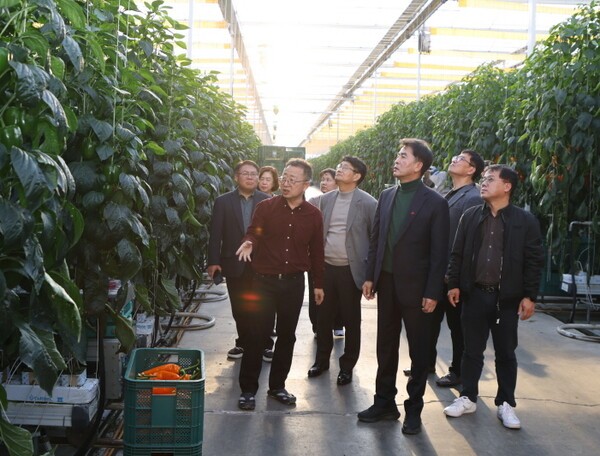 보은군, 선도 스마트팜 '썬메이트' 견학 지역 스마트농업 확산 박차 - 뉴스 썸네일 이미지