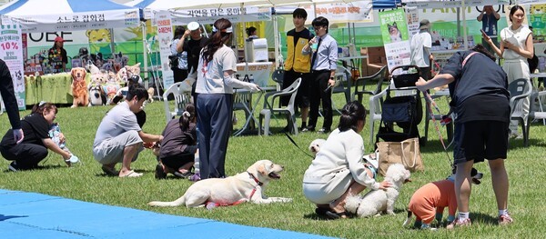 관련 사진
