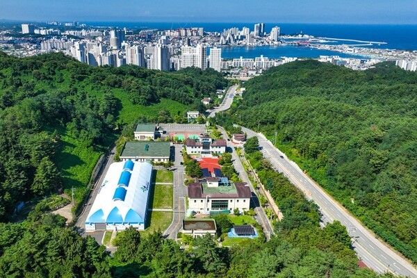 속초 낡은 수도관 52.7km 바꾼다...'하루 2500톤' 누수 차단 - 뉴스 썸네일 이미지