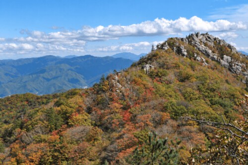 [진경수의 산행공부(山行工夫)] 용늪 품고 금강산 바라보는 ‘대암산’